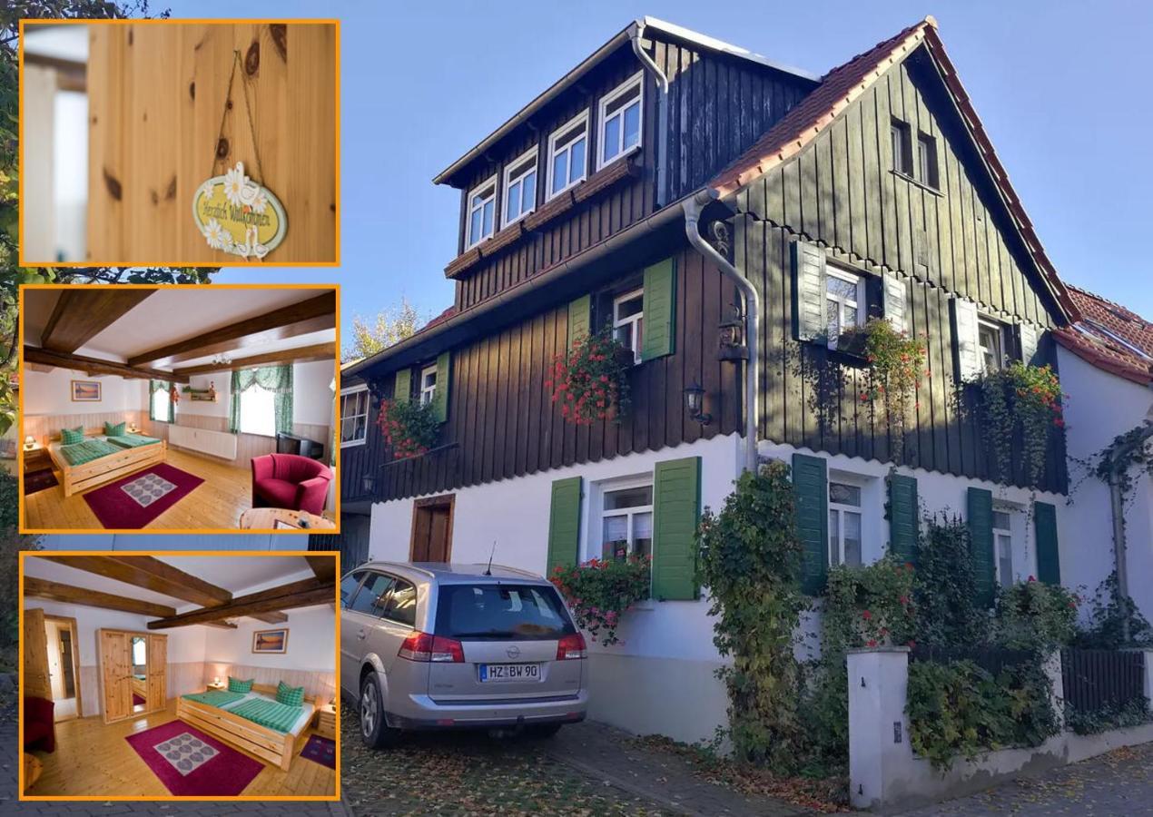 Ferienwohnung Zur Ellernmuehle Bad Suderode Zewnętrze zdjęcie