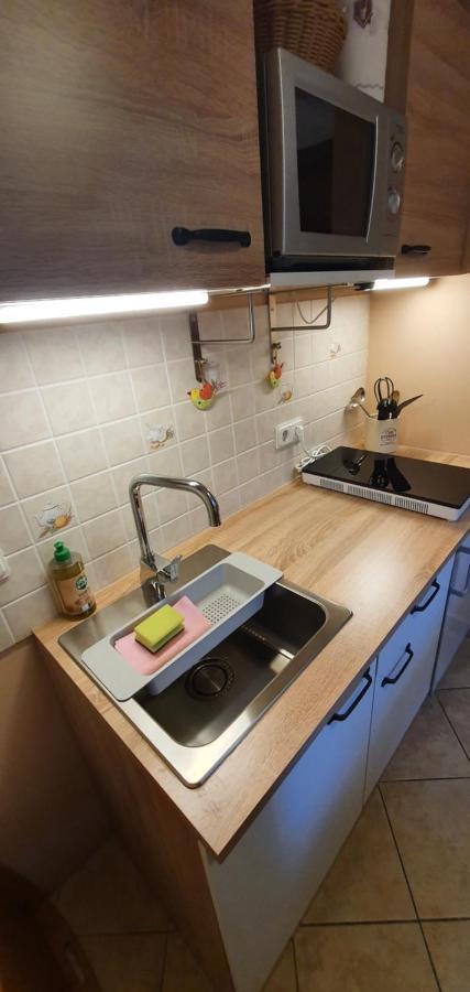 Ferienwohnung Zur Ellernmuehle Bad Suderode Zewnętrze zdjęcie