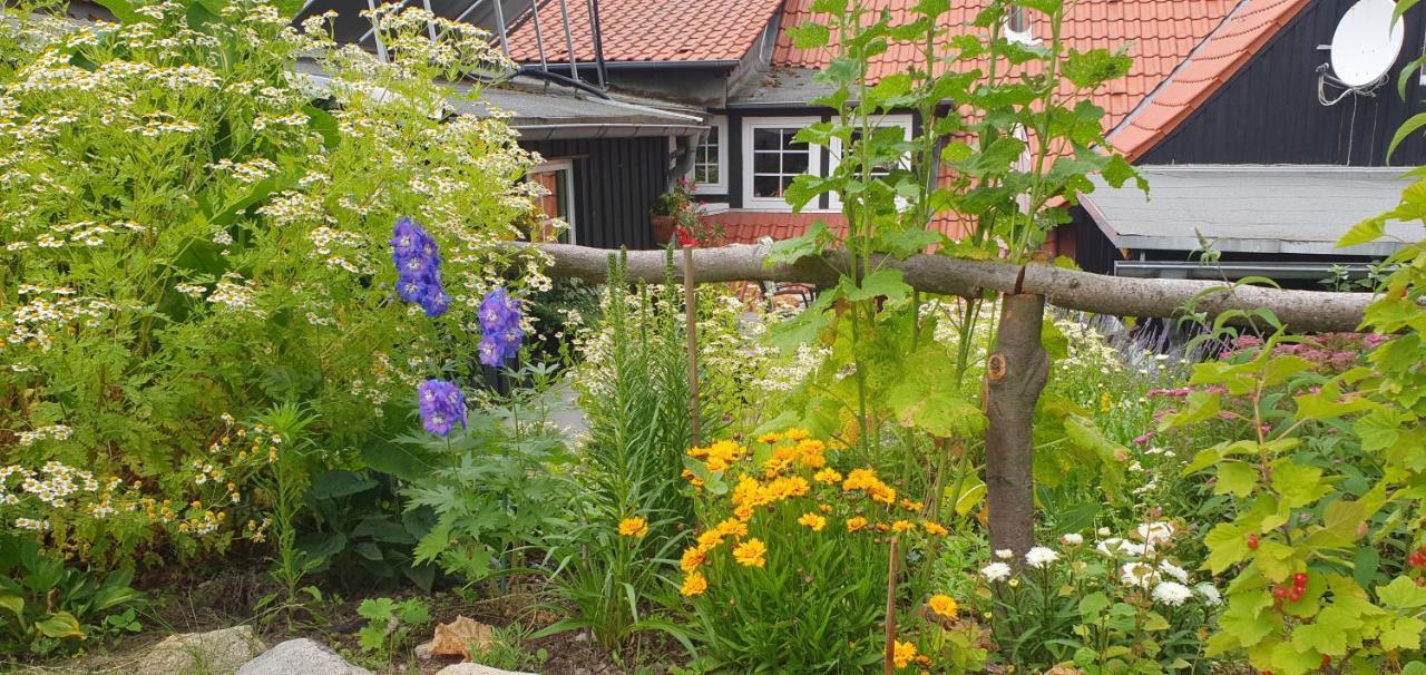 Ferienwohnung Zur Ellernmuehle Bad Suderode Zewnętrze zdjęcie